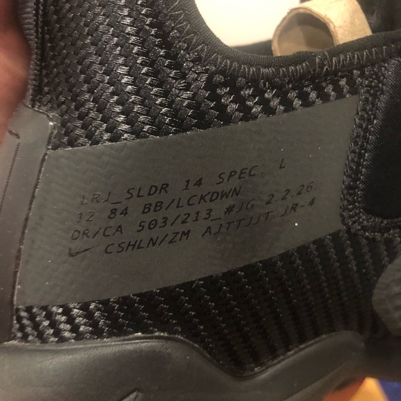 lebron - Picture 4 of 6